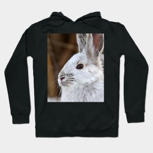 Snowshoe Hare Hoodie